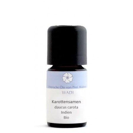 Karottensamenöl BIO, 5 ml 