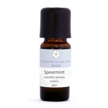 Spearmint BIO, 10 ml WADI GmbH