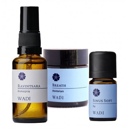 Winter Care I 